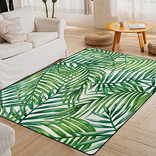 Soft Rugs Fluffy Carpets, Rugs for Living Room Bedroom Hallway Modern Home Decor, Non-Slip Washable Carpet, 2x4ft/0.6x1.2m