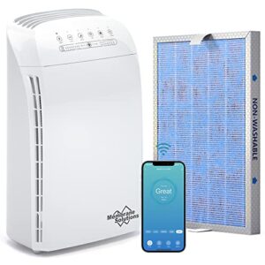 msa3s smart air purifier with one extra original msa3s replacement filter