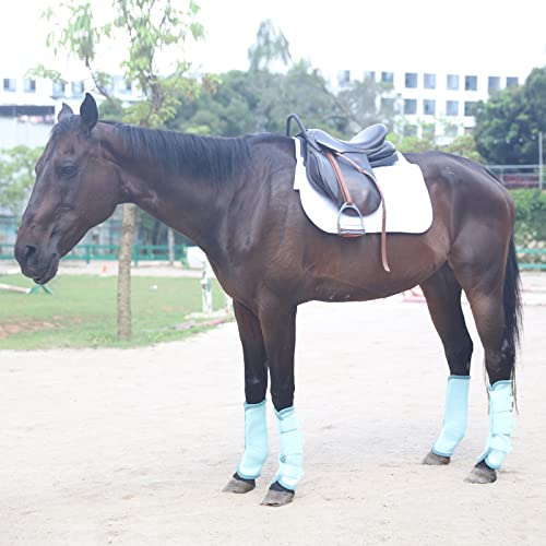 Gallopoff Fly Boots for Horses Set of 4, Breathable Comfy Mesh Horse Leggings Reduce Stomping, Hoof Stress, and Leg Fatigue SkyBlue Cob