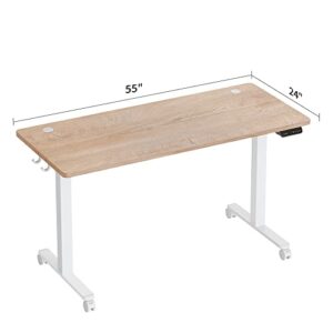 BANTI B-DJ-55MP Standing Desk, 55 inch, Maple