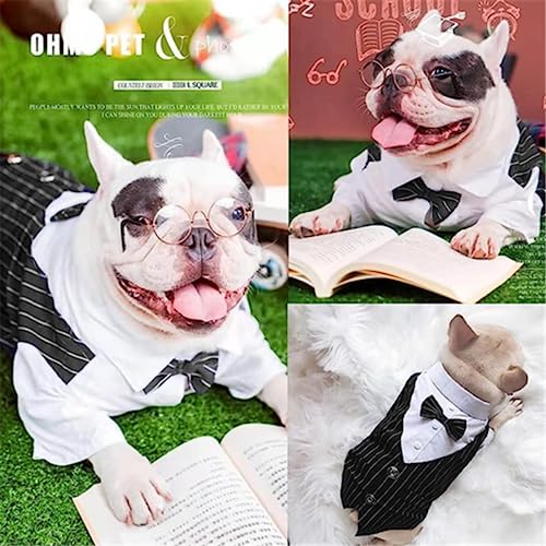 QXPDD Gentleman Dog Clothes Wedding Suit Formal Shirt for Small Dogs Bowtie Tuxedo Pet Outfit Halloween Christmas Costume for Cats,Red S