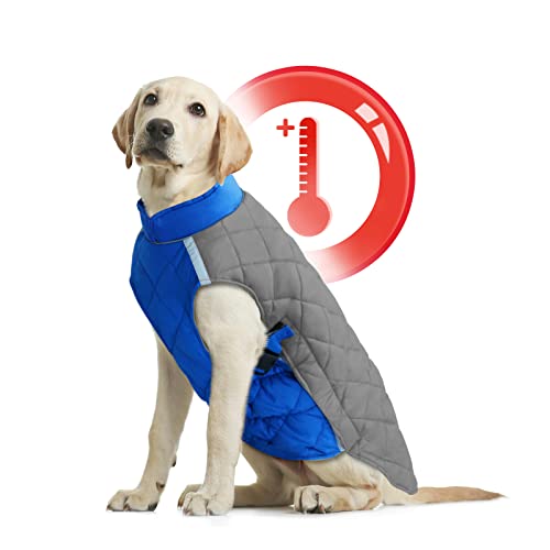 Cold Weather Dog Coats, Waterproof Dog Winter Coat Thick Padded Cozy Vest Reflective Warm Dog Vest Dog Snow Jacket with Leash Attachment Pet Winter Clothes for Small Medium Large Dogs, Red, Blue