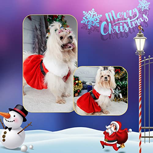 Dog Christmas Costume Puppy Dress, Santa Claus Pet Clothes Velvet Skirt Thermal Shirt Winter Coat Xmas Holiday Apparel Cute Girl Clothing Red Dresses, Dog Outfit for Small Medium Dogs Cats (M, Red)