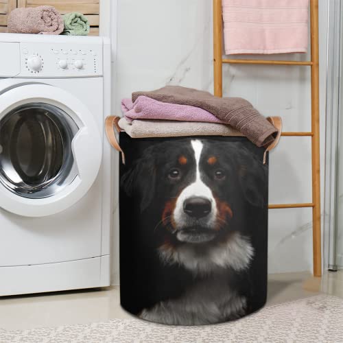 Bernese Mountain Dog Animals Collapsible Laundry Basket Large Laundry Hamper Waterproof Foldable Storage Bins Laundry Basket with Leather Handles Clothes Nursery Hampers for Bathroom Bedroom Toy Organizer