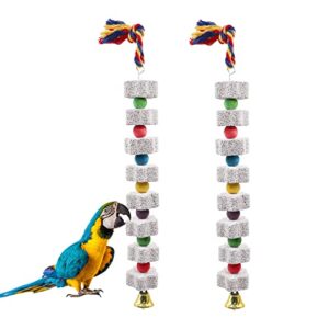 2 pack large bird chewing toy, parrot beak grinding calcium stone with bells, bird cage accessories, cage toys for cockatiel parakeet parrot budgies rat hamster chinchilla rabbit bunny african grey