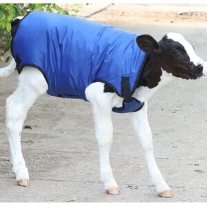 Calf Warm Clothes Calf Saver Coat Blanket for Keep Cow Warming Thickened Belly Protection Windproof Large Size Blue(70-130KG) (Large)