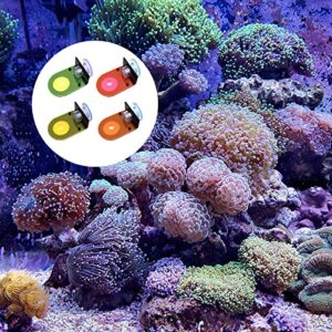 8Pcs Coral Frag Rack Fluorescent Coral Brackets Holder, Acrylic Coral Frag Rack with Powerful Suction Cup and Placstic Screws, Marine Reef Aquarium Spare Parts Suitable for Household Fish Tanks