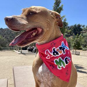 Giving Paws - Adopt Me Dog Bandana - Puppy Bandanas with Sweet Sayings and Eye-Catching Solid Colors - Giving Back to Pets in Need - Green Bandanas for Dogs - Large/X-Large