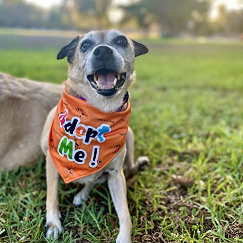 Giving Paws - Adopt Me Dog Bandana - Puppy Bandanas with Sweet Sayings and Eye-Catching Solid Colors - Giving Back to Pets in Need - Green Bandanas for Dogs - Large/X-Large