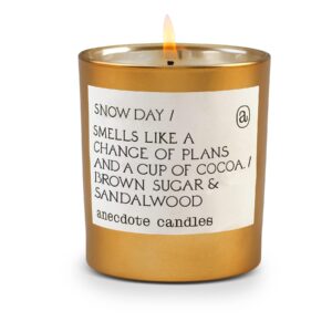 anecdote candles - holiday collection - snow day tumbler candle – brown sugar and sandalwood – coconut soy wax – funny non toxic scented decorative candles for women men and home – 7.8 ounces