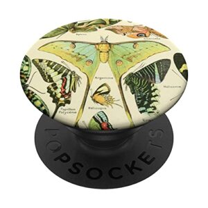 luna moth butterfly vintage botanical biology illustration popsockets swappable popgrip