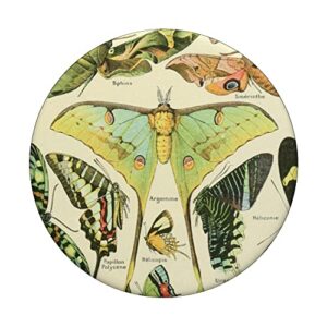 Luna Moth Butterfly Vintage Botanical Biology Illustration PopSockets Swappable PopGrip