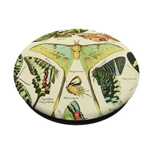 Luna Moth Butterfly Vintage Botanical Biology Illustration PopSockets Swappable PopGrip