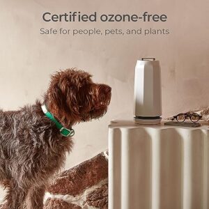 Puraclenz Photon Surface & Air Purifier - Stops Mold Growth, Destroys Viruses & Bacteria, Reduces Lingering Odors 24/7 - Patented Ozone-free Ion Technology - P750 for Spaces Up To 750 Sq. Ft.