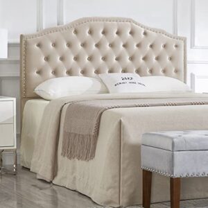 24kf upholstered button tufted queen headboard with nailhead trim, soft velvet fabric headboard queen/full 6031-q-taupe