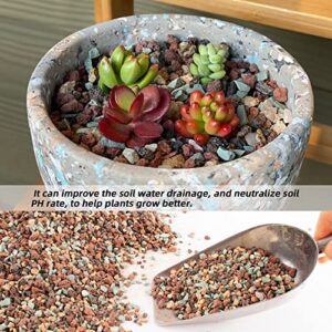 3lb Mix Lava Rocks for Plants in Door -Gravel Pebbles for Bonsai Succulent Cactus Potting Soil and Vase Fillers, Fairy Gardening,Top Dressing