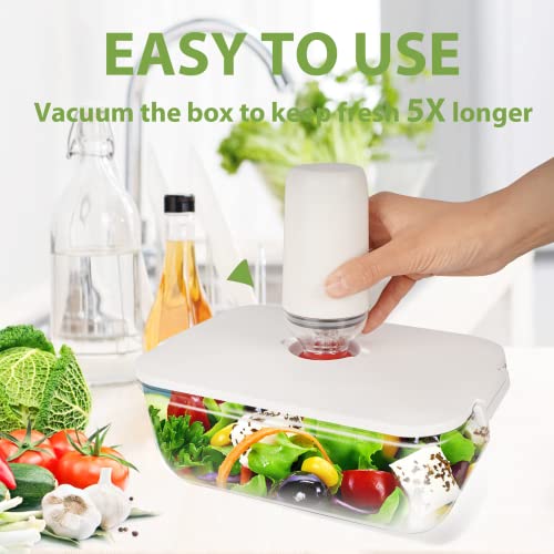 Vacuum Seal Storage Container Starter Kit (2L/half-gallon x1), with Handheld Automatic Pump & 6 Vacuum Bags, Vacuum Container for Food Storage, Airtight Food Preservation -BPA Free, Freezer Safe