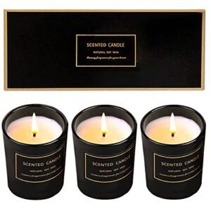 saotaeng 3 pcs candles for home scented, christmas candles natural soy wax candles with blue wind chimes, sea salt, freesia