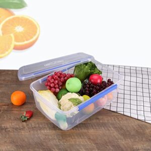 BESTonZON 2pcs Food-grade Travel Bento Snack Temperature Reusable Saver with Pp Sealing Home Easy Veggie Leak Keeper Fruits Storage Prep Take Refrigerator Containers Dishwasher