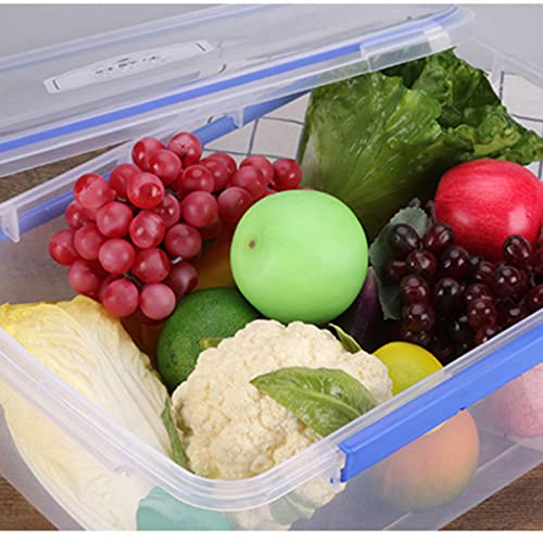 BESTonZON 2pcs Food-grade Travel Bento Snack Temperature Reusable Saver with Pp Sealing Home Easy Veggie Leak Keeper Fruits Storage Prep Take Refrigerator Containers Dishwasher