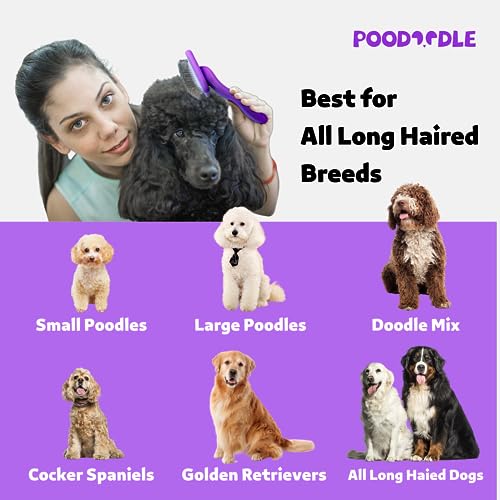 Poodoodle Dog Slicker Brush for Goldendoodle, Labradoodle & All Doodle Mix, Long Pin Wood Dog Brush for Long Haired Dogs, Tailored for Poodles & Doodles, Golden Doodle Brush for Grooming - Large