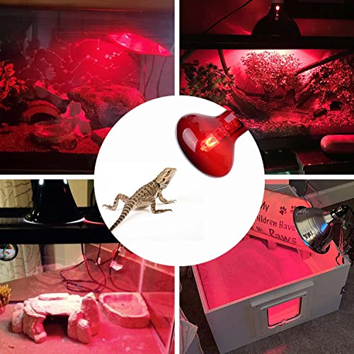 75W Infrared Reptile Heat Lamp Bulb, UVA Basking Spot Red Light Glass Heat Bulbs for Reptiles and Amphibian Use, Bearded Dragon, Turtle, Gecko, Snake, Lizard, Chameleon - 2 Pack