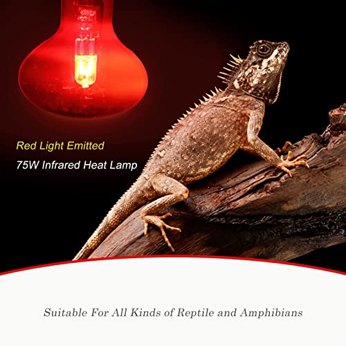 75W Infrared Reptile Heat Lamp Bulb, UVA Basking Spot Red Light Glass Heat Bulbs for Reptiles and Amphibian Use, Bearded Dragon, Turtle, Gecko, Snake, Lizard, Chameleon - 2 Pack