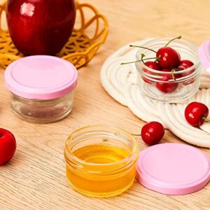 12 Pcs Small Glass Condiment Containers with Lids Glass Jars with Lids Salad Dressing Container glass Food Storage Containers Reusable Sauce Cups Mini Glass Jars for Picnic Travel 2.53 oz
