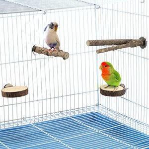 Filhome Bird Perch Stand Toy, Natural Wood Parrot Perch Bird Cage Branch Perch Accessories for Parakeets Cockatiels Conures Macaws Finches Love Birds (15CM YIOO)