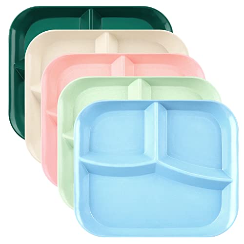 DLF. DONGLINFENG Adult Compartmentalized Dinner Plates 5-Piece Set Unbreakable Portion Control Wheat Plastic Dinner Plates (Compartmentalized Plates/Picnic Plates) 10-Inch