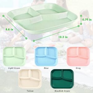 DLF. DONGLINFENG Adult Compartmentalized Dinner Plates 5-Piece Set Unbreakable Portion Control Wheat Plastic Dinner Plates (Compartmentalized Plates/Picnic Plates) 10-Inch