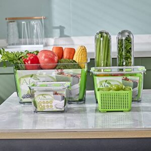 Fresh Produce Saver Containers with Herb Keeper and Air Vent Lids - Keep Fruits, Vegetables, Lettuce, Berries, and Salad Fresh in the Fridge - Removable Colander and Kitchen Organization Solutions