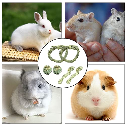 6 Pcs Molar Toy Rabbit Toys Set Small Animal Toys for Hamster Guinea Pig Rabbit Rat Chinchilla and Gerbils