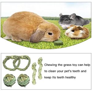 6 Pcs Molar Toy Rabbit Toys Set Small Animal Toys for Hamster Guinea Pig Rabbit Rat Chinchilla and Gerbils