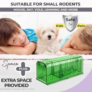 DEJOR Humane Mouse Trap Live Catch Indoor for Home/Outdoor Durable Reusable No Harm to Mice Rats Rodents Easy Release Door Knob - Kids Pets Safe Perfect for House/Outside Pest Control - 4 Pack, Green