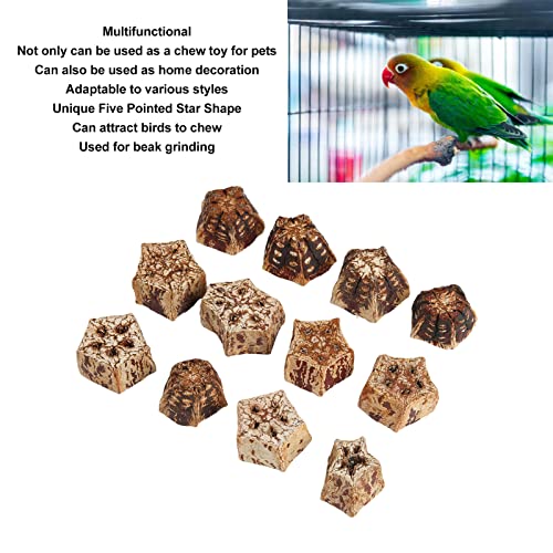 Zerodis 60 Pcs Bird Toys, Parrot Chew Nuts Toys for Bird Beak Cockatiel Budgies Parakeets Lovebird Toys Dried Nuts for Boredom Relief