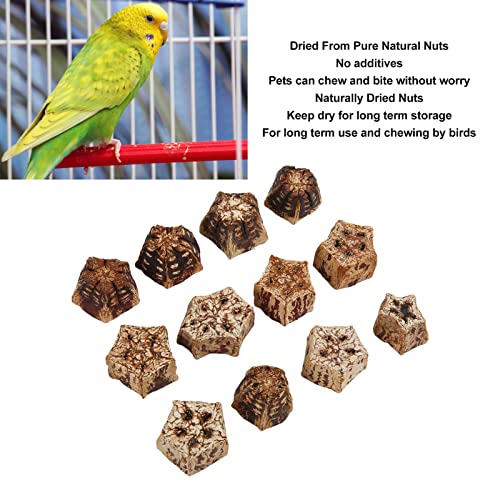 Zerodis 60 Pcs Bird Toys, Parrot Chew Nuts Toys for Bird Beak Cockatiel Budgies Parakeets Lovebird Toys Dried Nuts for Boredom Relief
