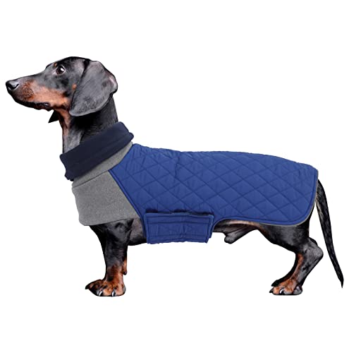 Geyecete Dachshund Coat,Dachshund Winter Coat,Warm Dachshund Coat Waterproof Windproof, High Neckine String Holes Miniature Dachshund Jacket for Small Dog-Bule-M