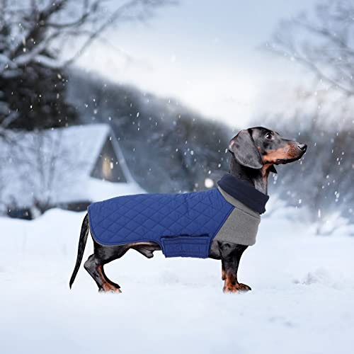 Geyecete Dachshund Coat,Dachshund Winter Coat,Warm Dachshund Coat Waterproof Windproof, High Neckine String Holes Miniature Dachshund Jacket for Small Dog-Bule-M