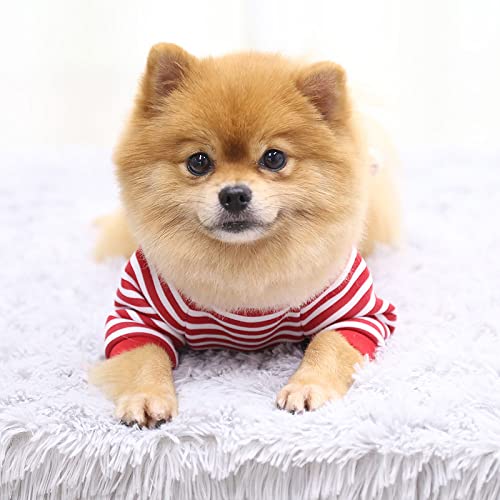 Dog Sweater Dog Sweaters for Small Medium Dogs with Pocket Bear Warm Small Dog Sweater Soft Puppy Sweaters for Small Dogs Winter Pet Dog Cat Sweater Clothes for Girls or Boys