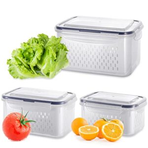 kqiang fruit storage containers for fridge fresh container with filterable basket & airtight lid vegetable and fruit saver containers refrigerator organizer for fruit salad lettuce berry meat keeper
