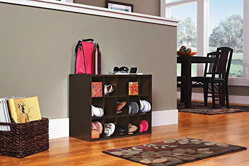 ClosetMaid 15 Cube Stackable Storage Organizer for Shoes, Bags, Crafts, Hobbies with Wood Shelves, for Closet, Entryway or Mudroom, Espresso & 8925 2-Door Stackable Laminate Organizer, Espresso