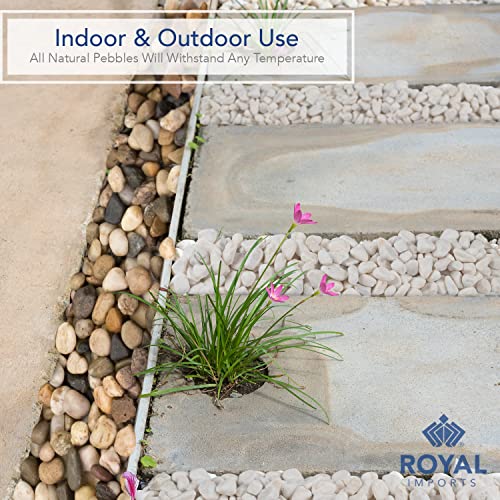 Royal Imports 5LB Decorative Stones River Pebbles Flat Painting Rocks for Fish Aquariums, Plant Gravel, Landscaping, Home Decor Natural - Medium Black