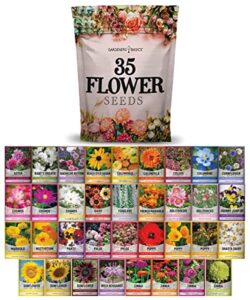 flower seeds packets for planting 35 individual varieties perennial, annual, wildflower seeds for planting outdoors for bees and butterflies - semillas de flores hermosas by gardeners basics.
