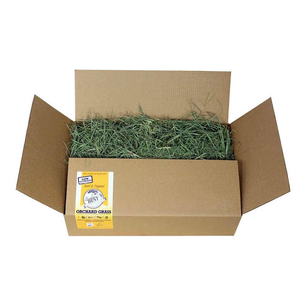 Grandpa's Best Premium Orchard Grass Hay for Rabbits, Guinea Pigs, Chinchillas, Hamsters & Gerbils, 20lb Loose Boxed