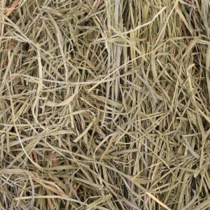 Grandpa's Best Premium Orchard Grass Hay for Rabbits, Guinea Pigs, Chinchillas, Hamsters & Gerbils, 20lb Loose Boxed