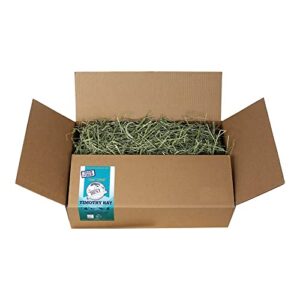 grandpa's best premium timothy hay 10lb loose boxed