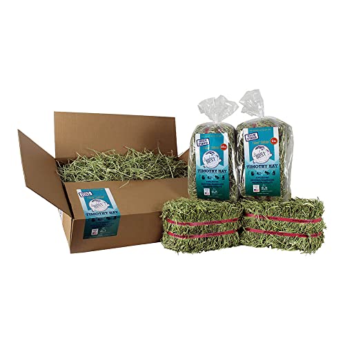 Grandpa's Best Premium Timothy Hay 10lb Loose Boxed