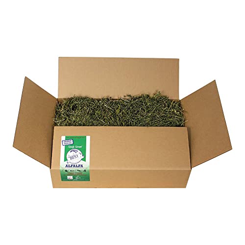 Grandpa's Best Alfalfa Hay for Rabbits, Guinea Pigs, Chinchillas, Hamsters & Gerbils, 10lb Loose Boxed