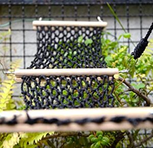 BuyLover -Chameleon Accessories cage, Reptile Hammock Climbing- Bird Ladder, Bearded Dragon, Hamster Bridge, Chicken coops Swing, Rat Toys, Parakeet, Terrarium Decor- 1 pc 22" H x 5" L